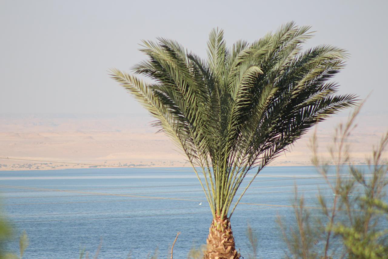 Kom El Dikka Agri Lodge ‘Izbat an Nāmūs Zimmer foto